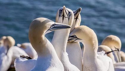 诸暨伴游，定制QQ：3494206190微信：act1322