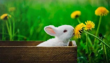 诸暨伴游，定制QQ：3494206190微信：act1322